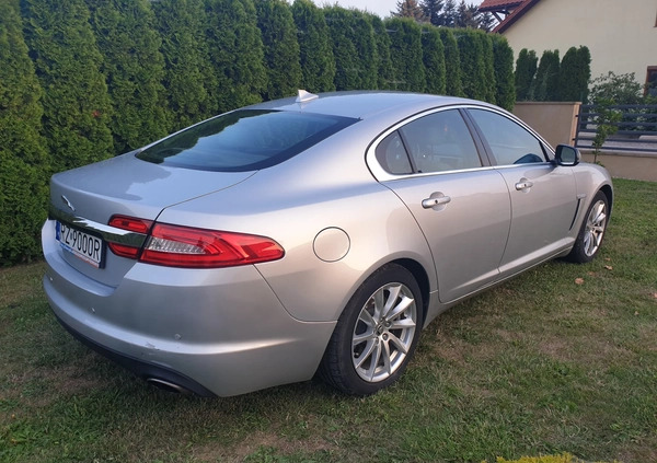 Jaguar XF cena 58000 przebieg: 65000, rok produkcji 2013 z Rzeszów małe 254